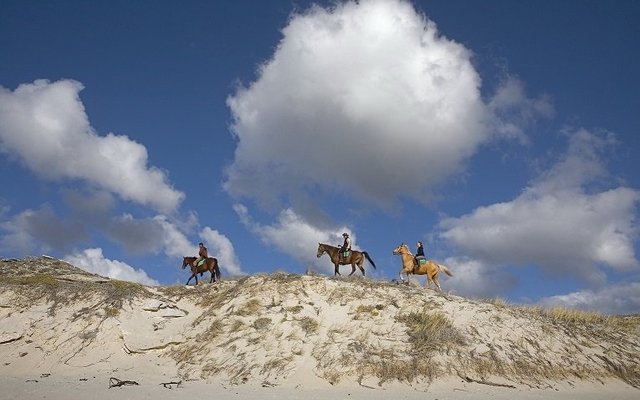 Gansbaai Activities Gansbaai Activities